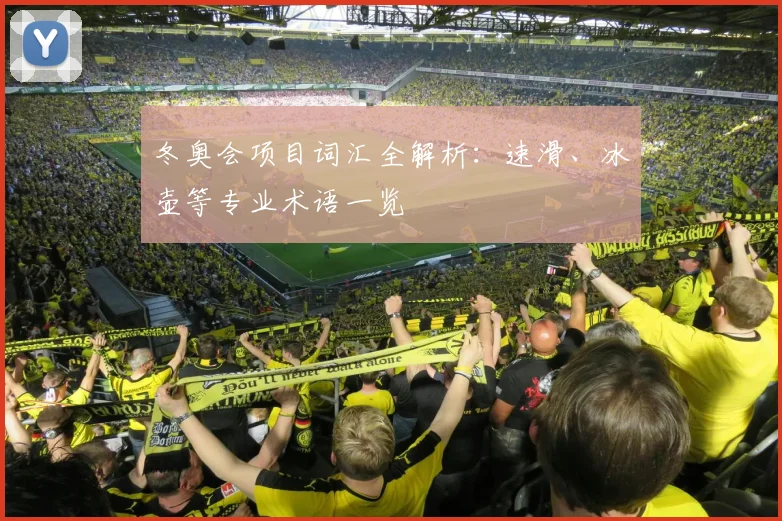 冬奥会项目词汇全解析：速滑、冰壶等专业术语一览