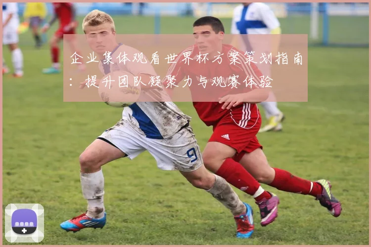 企业集体观看世界杯方案策划指南：提升团队凝聚力与观赛体验