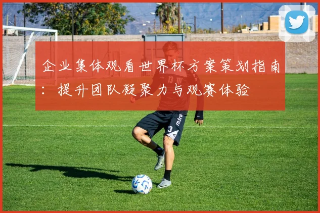 企业集体观看世界杯方案策划指南：提升团队凝聚力与观赛体验