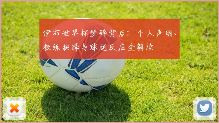 伊布世界杯梦碎背后：个人声明、教练抉择与球迷反应全解读