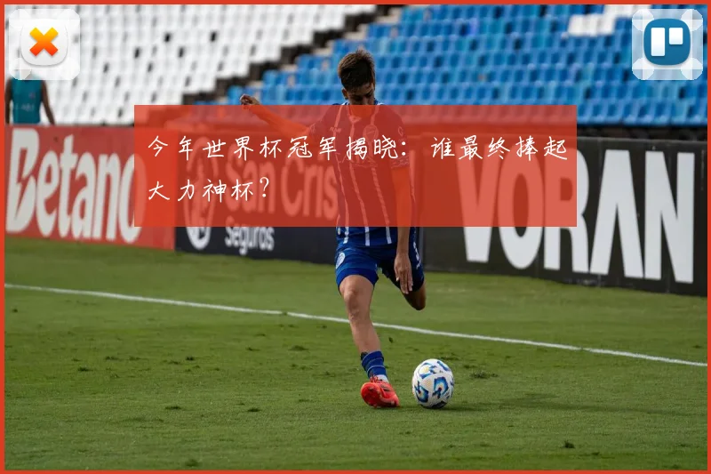 今年世界杯冠军揭晓：谁最终捧起大力神杯？