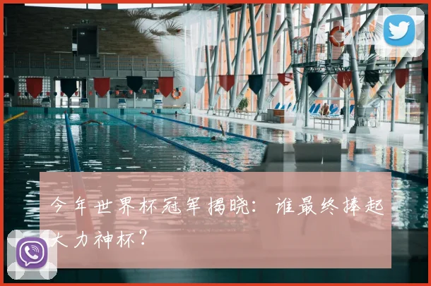 今年世界杯冠军揭晓：谁最终捧起大力神杯？
