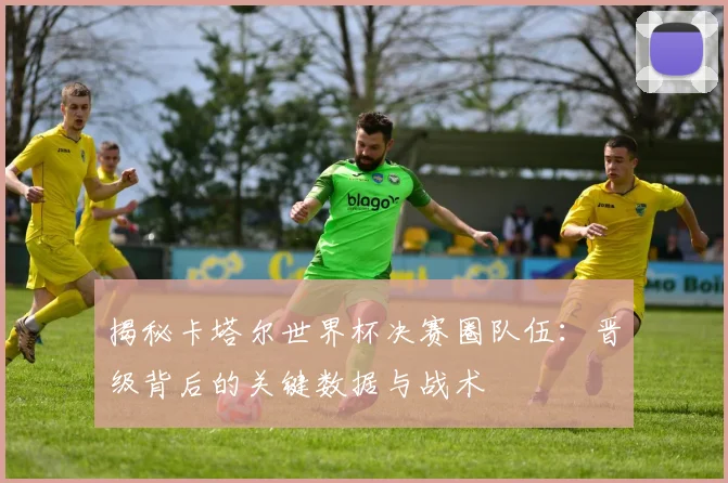 揭秘卡塔尔世界杯决赛圈队伍:晋级背后的关键数据与战术